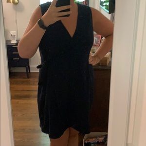 Texture & Thread wrap dress - Madewell 2x